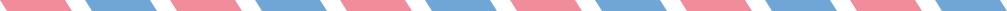 Invoice border